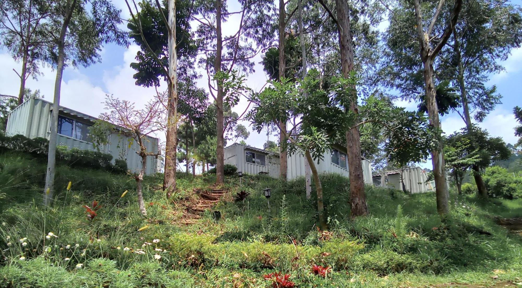 Hotel Bukit Pinus Tegalharendong Eksteriør bilde